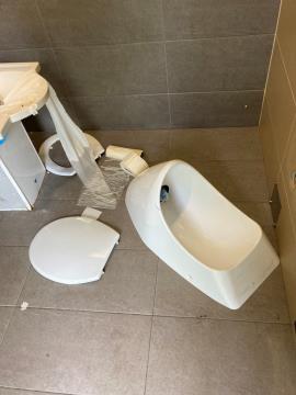 Vandalizem v javnih sanitarijah